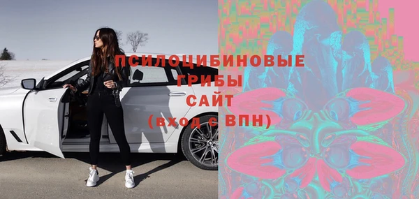ECSTASY Горнозаводск