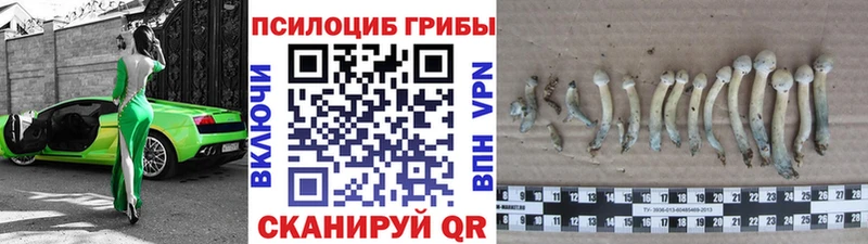 купить наркотики сайты  Ноябрьск  Псилоцибиновые грибы ЛСД 