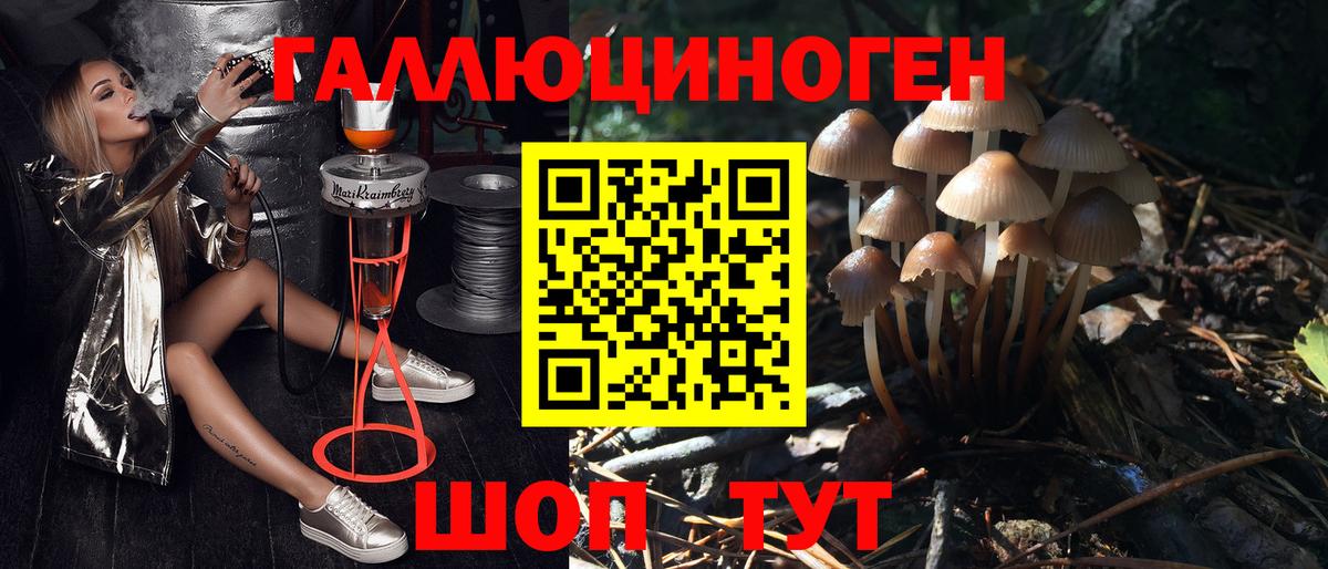 Галлюциногенные грибы GOLDEN TEACHER Ноябрьск
