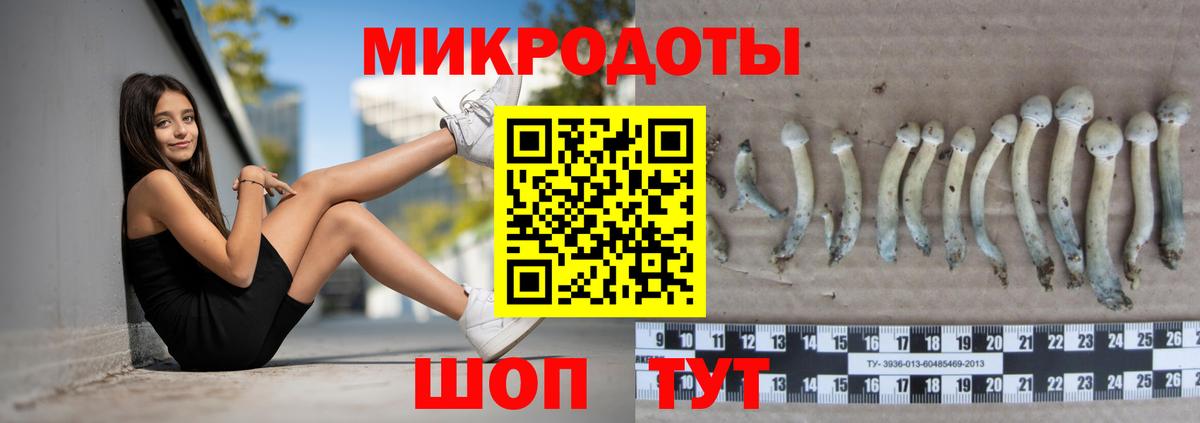 Alpha PVP Ноябрьск